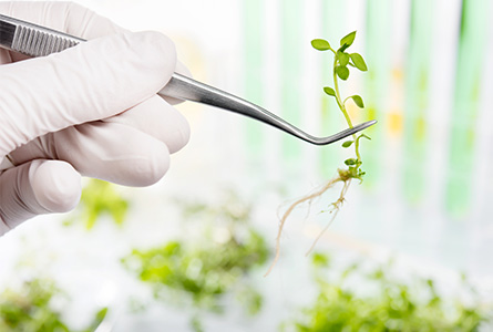 Coscienza e innovazione per la vita Coscienza e innovazione per la vita
