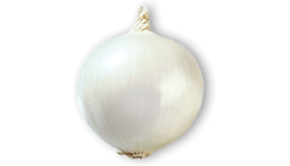 White onion