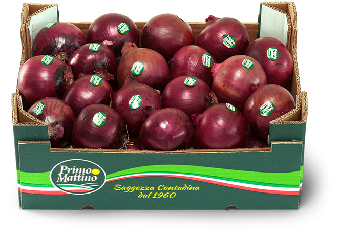 Cipolla rossa selezionata - Cassetta in cartone