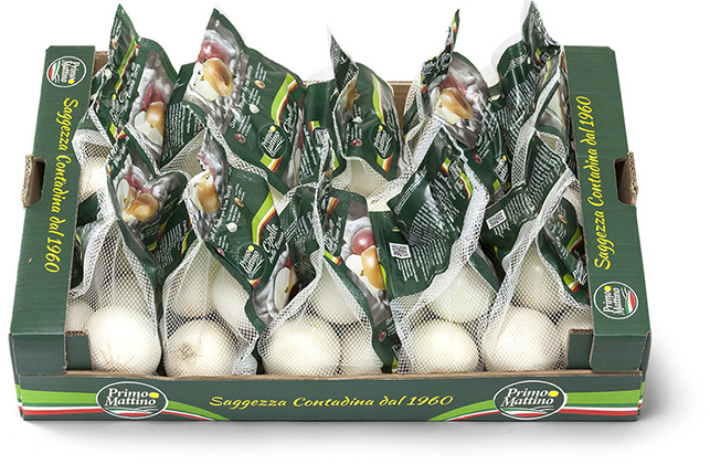 Weiße Zwiebel - Pappkarton (Vertibag)