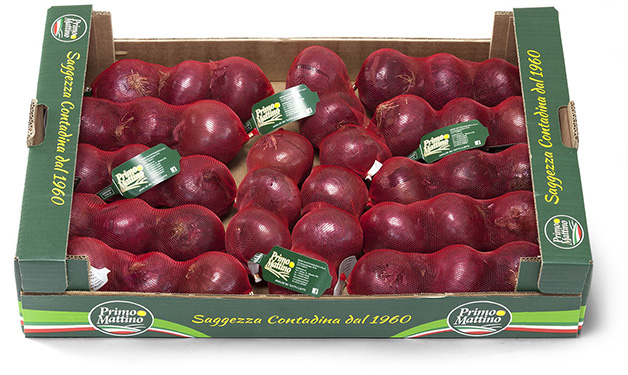 Cipolle rosse - Cassetta in cartone (Retina)