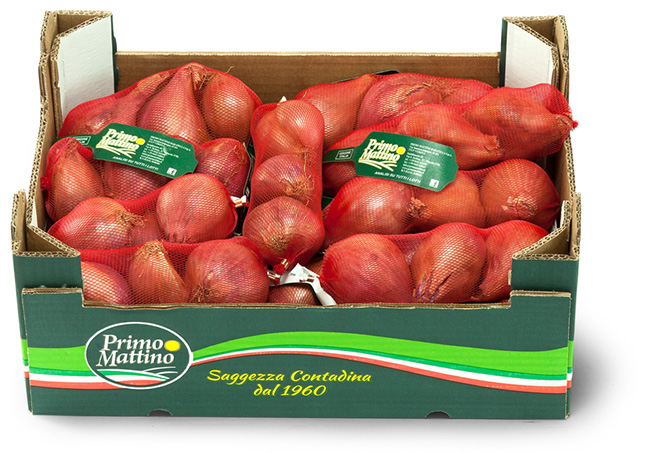 Shallot - Cardboard box (Net bag)