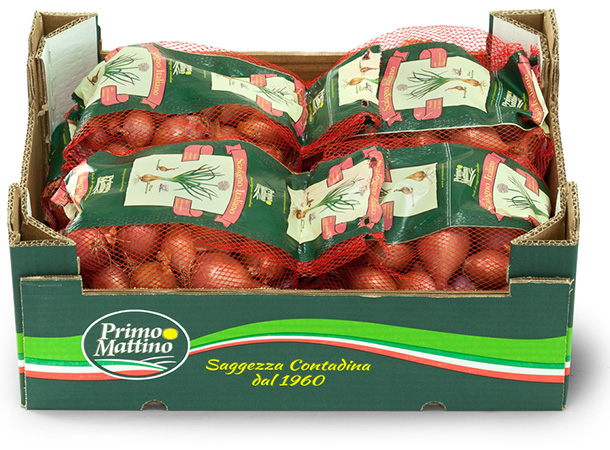 Schalotte - Pappkarton (Vertibag)