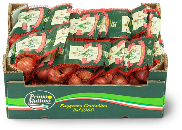 Schalotte - Pappkarton (Vertibag)