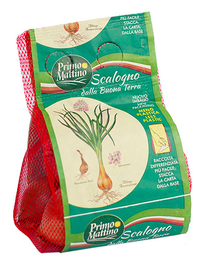 Scalogno - Vertibag