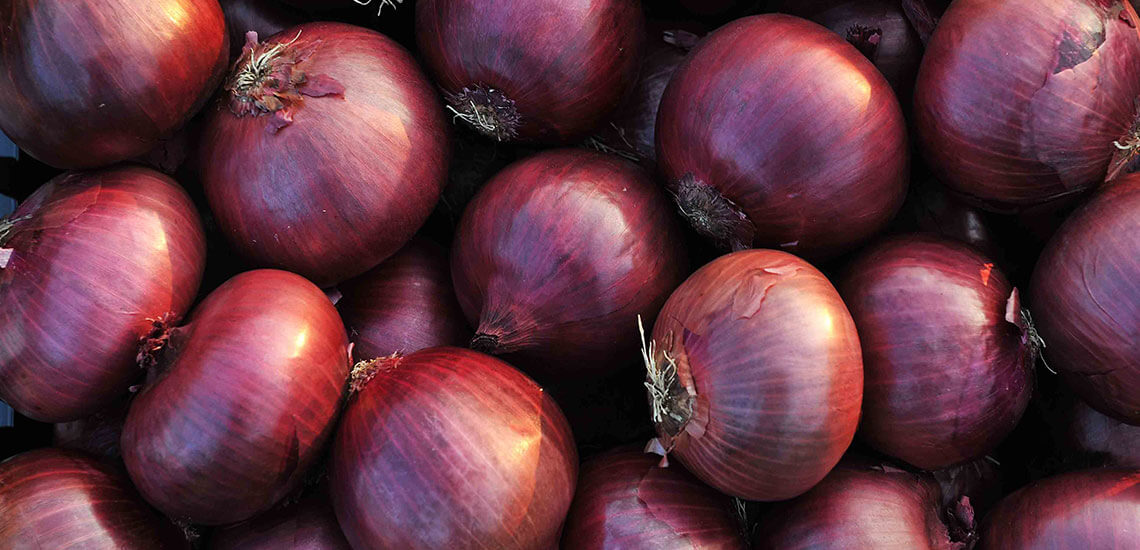 Cipolla rossa Cipolla rossa