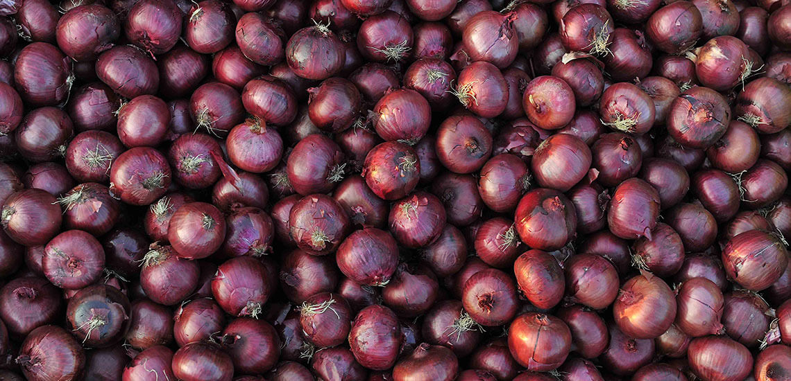 Cipolla rossa Cipolla rossa