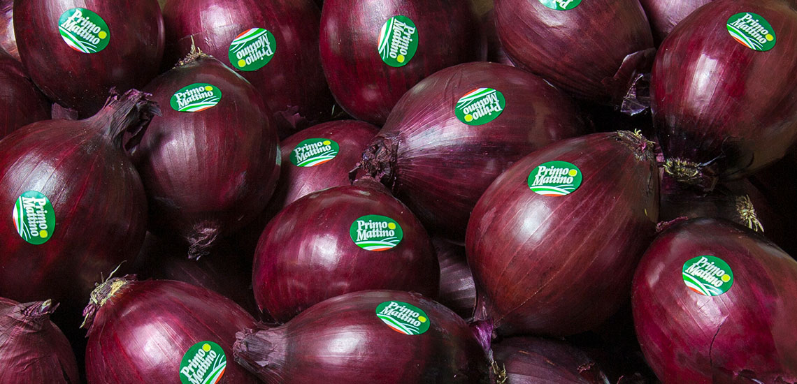 Selected red onion