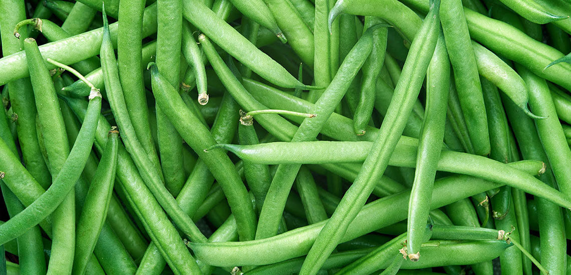 Fagiolini Fagiolini