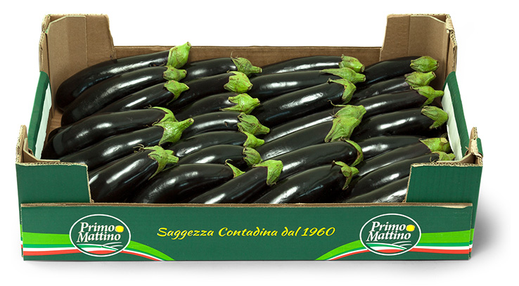 Melanzane lunghe - Cassetta in cartone