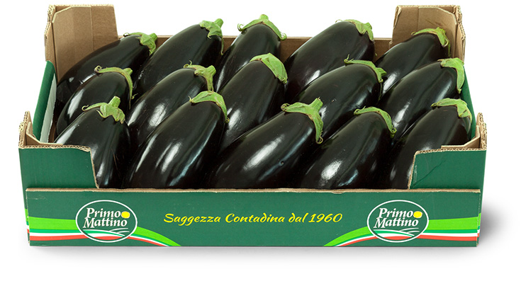 Melanzane tonde - Cassetta in cartone