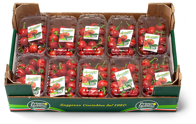 scharfe runde Chilischote - Pappkarton (Lebensmittelschale)