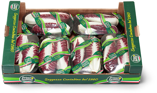 Radicchio lungo - Cassetta in cartone