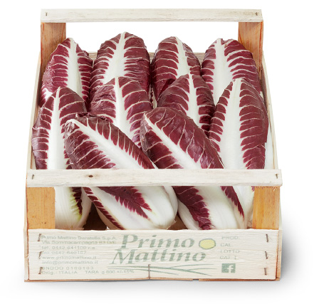 Radicchio lungo - Cassetta in legno