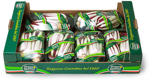 Radicchio lungo tardivo - Cassetta in cartone