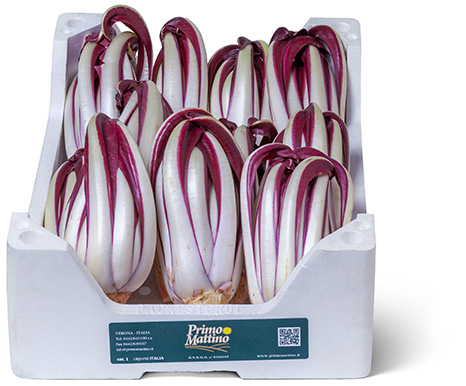 Radicchio lungo tardivo - Cassetta in polistirolo