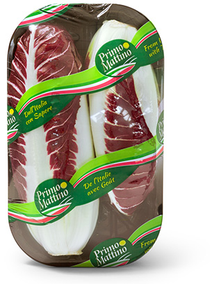 Radicchio lungo - Vassoio in plastica