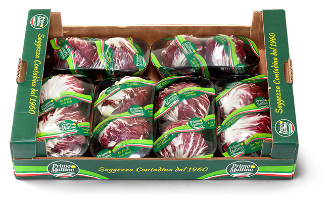 Radicchio rotondo - Cassetta in cartone