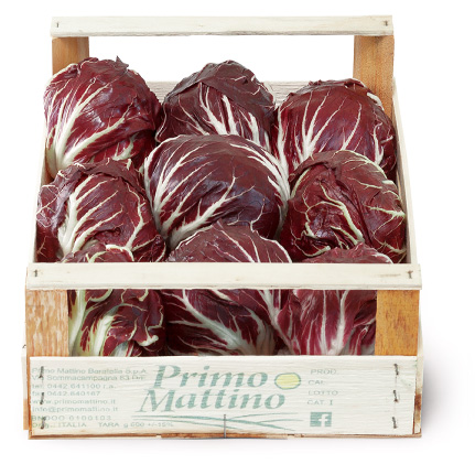 Radicchio rotondo - Cassetta in legno