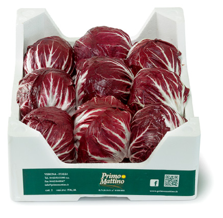 Radicchio rotondo - Cassetta in polistirolo