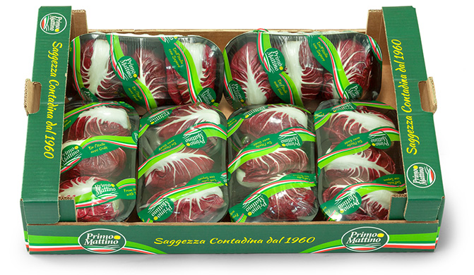 Radicchio semilungo - Cassetta in cartone
