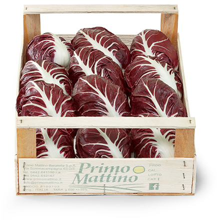 Radicchio semilungo - Cassetta in legno