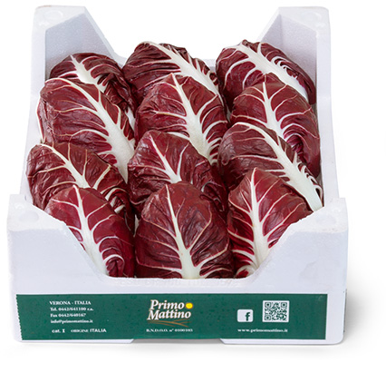 Radicchio semilungo - Cassetta in polistirolo