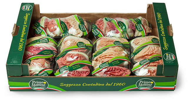 Radicchio semilungo rosa - Cassetta in cartone
