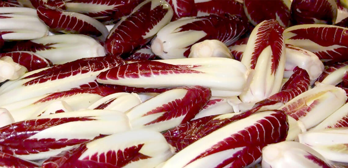 Radicchio lungo Radicchio lungo