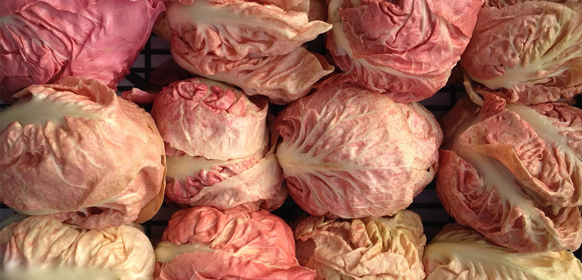 Radicchio semilungo rosa