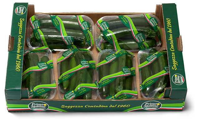Lange Zucchini - Pappkarton (Lebensmittelschale)