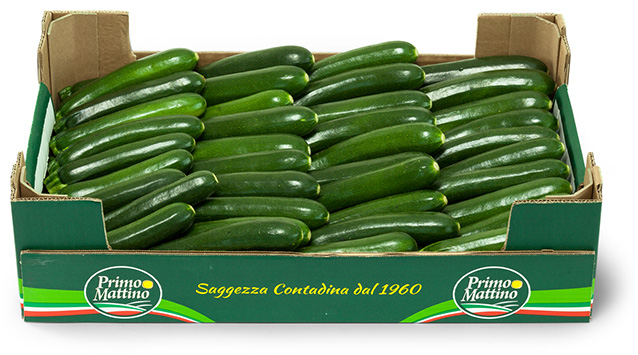 courgette box