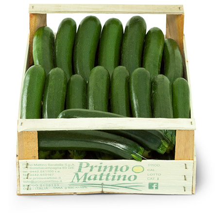 Lange Zucchini - Holzkasten