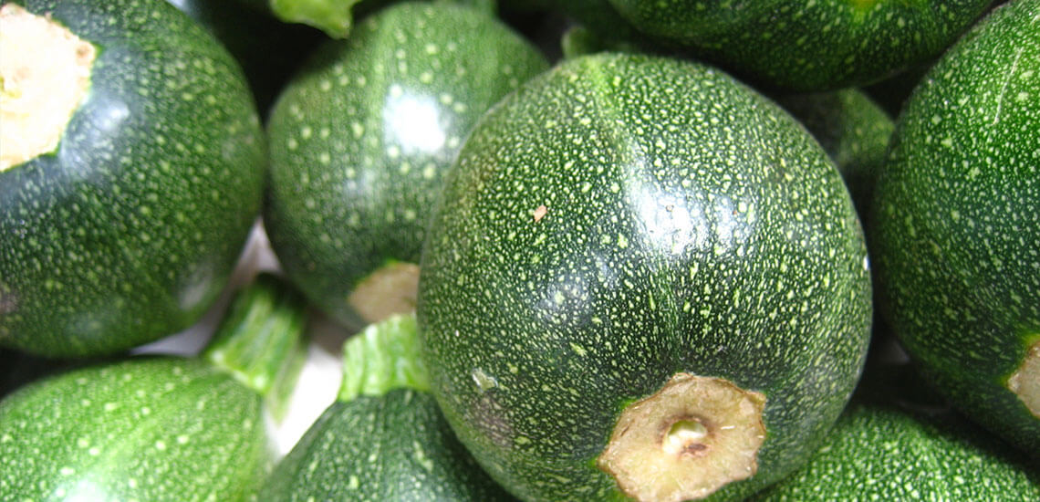 Zucchine rotonde chiare