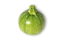 helle runde Zucchini