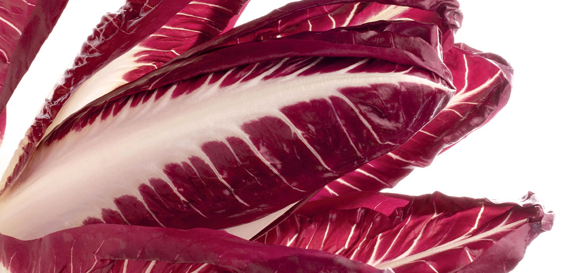 Pasta shells filled with radicchio