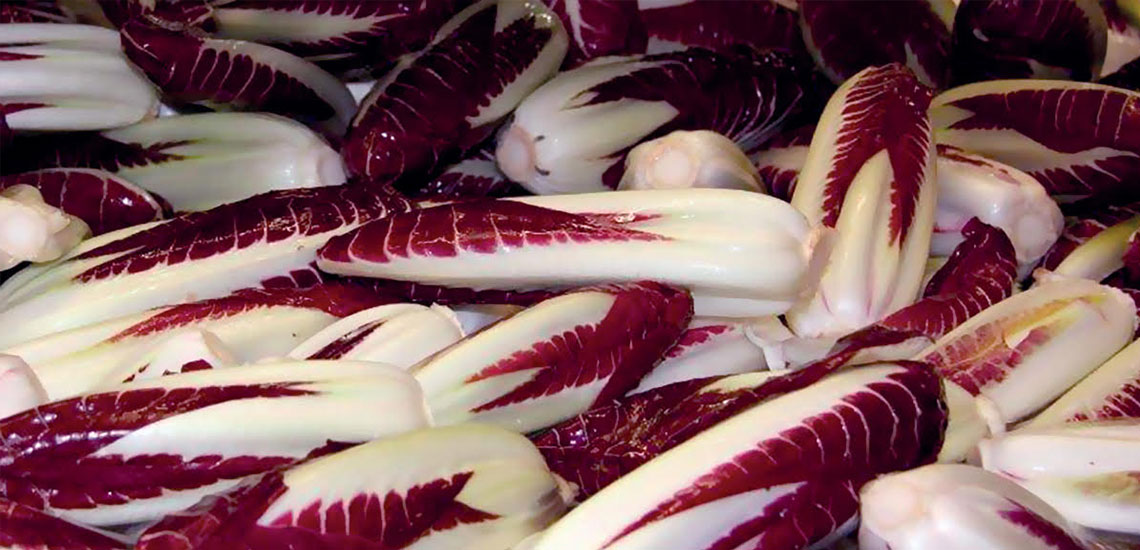 Orata con radicchio e olive