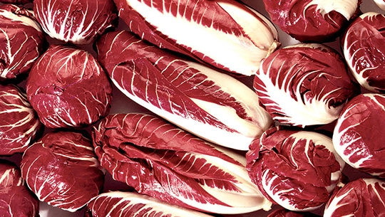 Radicchio