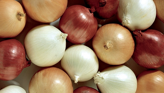 Onions