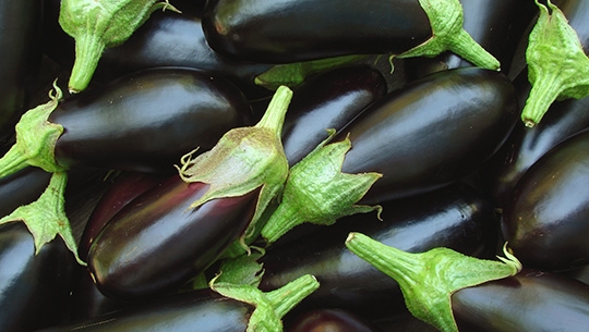 Aubergines