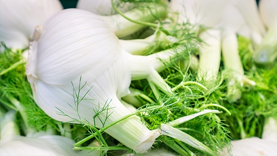 Fennel